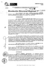 Vista preliminar de documento RDR 9549-2024