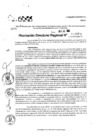 Vista preliminar de documento RDR 9554-2024