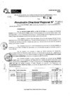 Vista preliminar de documento RDR 9556-2024