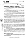 Vista preliminar de documento RDR 9557-2024