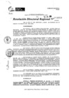 Vista preliminar de documento RDR 9559-2024