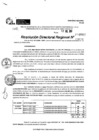 Vista preliminar de documento RDR 9560-2024