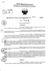 Vista preliminar de documento RDR 9563-2024