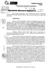 Vista preliminar de documento RDR 9568-2024