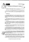 Vista preliminar de documento RDR 9574-2024