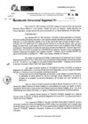 Vista preliminar de documento RDR 9170-2024