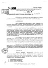 Vista preliminar de documento RDR 9172-2024