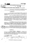 Vista preliminar de documento RDR 9174-2024