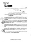 Vista preliminar de documento RDR 9175-2024