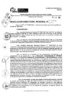 Vista preliminar de documento RDR 9178-2024
