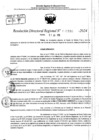 Vista preliminar de documento RDR 9180-2024