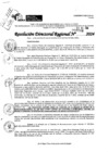 Vista preliminar de documento RDR 9588-2024