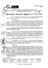 Vista preliminar de documento RDR 9589-2024