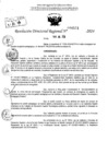 Vista preliminar de documento RDR 9591-2024