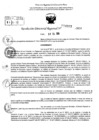 Vista preliminar de documento RDR 9593-2024