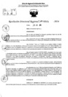 Vista preliminar de documento RDR 9595-2024