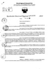 Vista preliminar de documento RDR 9596-2024