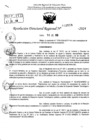 Vista preliminar de documento RDR 9598-2024