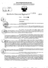 Vista preliminar de documento RDR 9599-2024