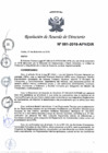 Vista preliminar de documento N°081-2018-APN-DIR