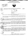 Vista preliminar de documento RDR 9602-2024