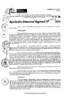 Vista preliminar de documento RDR 9603-2024
