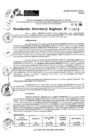 Vista preliminar de documento RDR 9604-2024