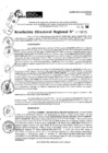 Vista preliminar de documento RDR 9605-2024