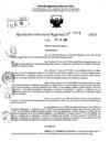Vista preliminar de documento RDR 9606-2024