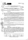 Vista preliminar de documento RDR 9608-2024