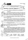 Vista preliminar de documento RDR 9610-2024
