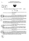 Vista preliminar de documento RDR 9612-2024