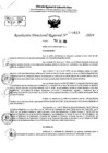 Vista preliminar de documento RDR 9613-2024