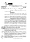 Vista preliminar de documento RDR 9614-2024