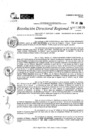 Vista preliminar de documento RDR 9616-2024