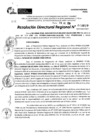 Vista preliminar de documento RDR 9617-2024