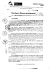 Vista preliminar de documento RDR 9621-2024