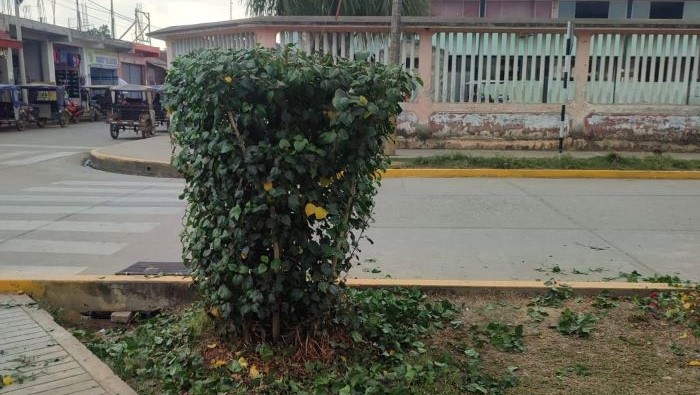 MUNICIPALIDAD PROVINCIAL DATEM DEL MARAÑON