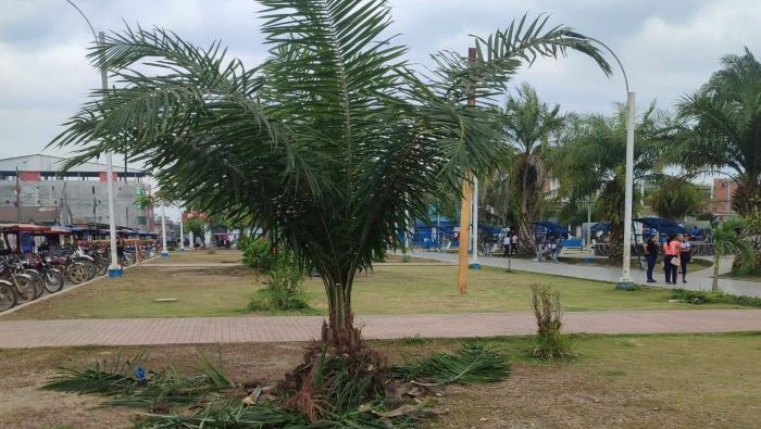 MUNICIPALIDAD PROVINCIAL DATEM DEL MARAÑON