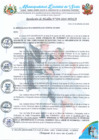 Vista preliminar de documento RA 294-2024 aprobación EXPEDIENTE CONTRATACION CATALOGO ELEC.