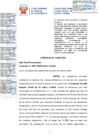 Vista preliminar de documento Cas 2481-2022 Selva Central
