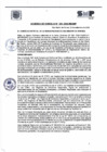Vista preliminar de documento A.C N° 030-2024