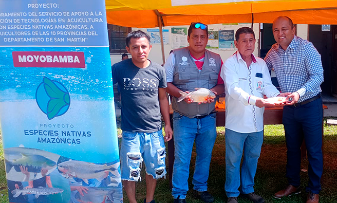 Proyecto Especies Nativas Amazónicas.