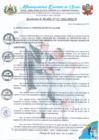 Vista preliminar de documento RA 317-2024 aprobación EXPEDIENTE CONTRATACION CATALOGO ELEC.