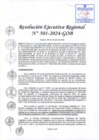 Vista preliminar de documento RER 501-2024-GOB