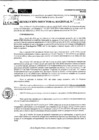Vista preliminar de documento RDR 9633-2024
