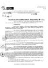 Vista preliminar de documento RDR 10154-2024