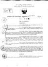 Vista preliminar de documento RDR 10155-2024