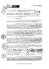 Vista preliminar de documento RDR 9948-2024