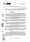 Vista preliminar de documento RDR 9950-2024